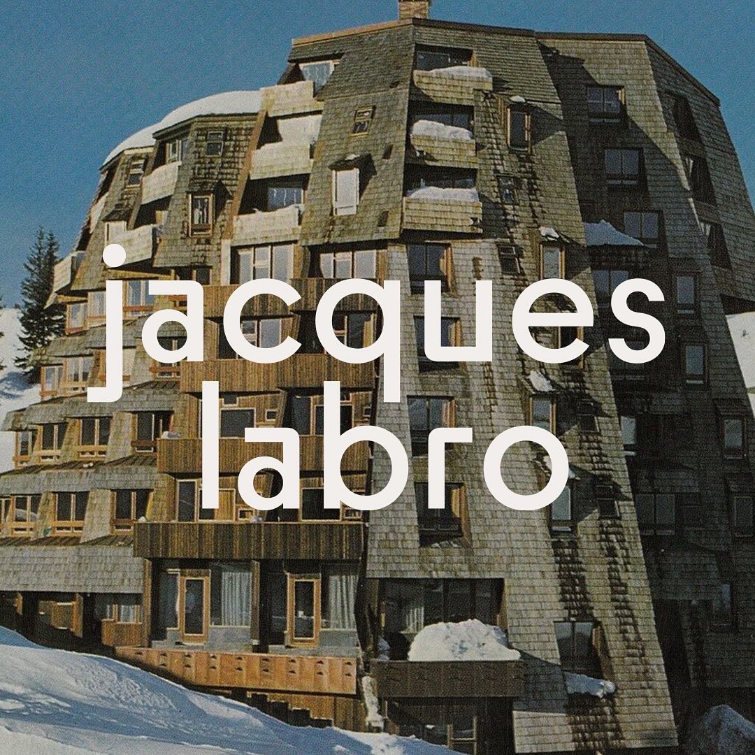 Monkey Type tweet media