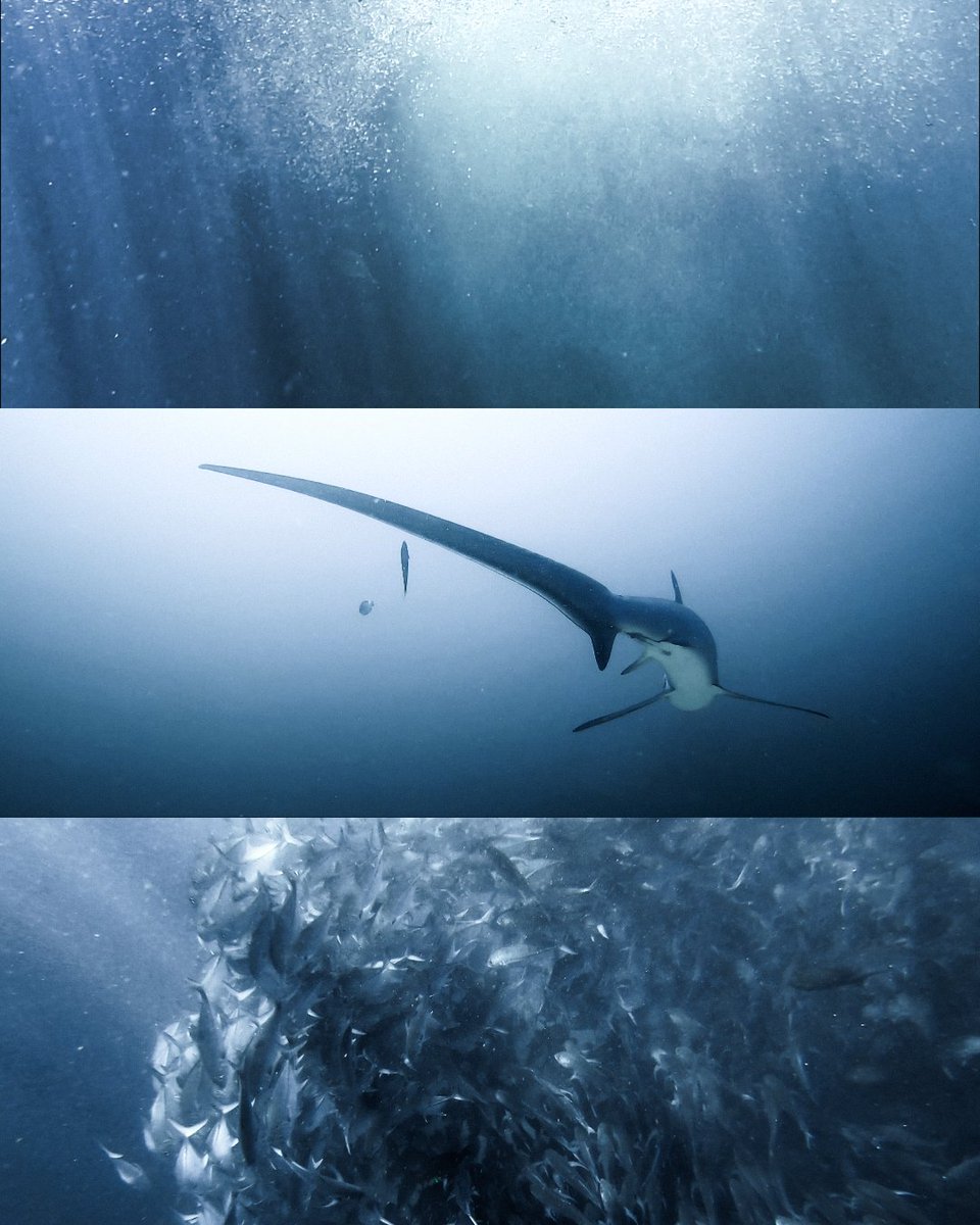 A place where time slows down 💙