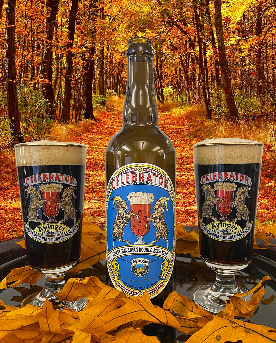 merchantduvin's tweet photo. CELEbrating as a group just got easier. Bring Celebrator 750 mL to your next gathering by finding it on our website.
#Ayinger #GermanBeer #Doppelbock #FallBeer #CraftBeer #ImportBeer #AyingerCelebrator https://t.co/RicSTAyDSL