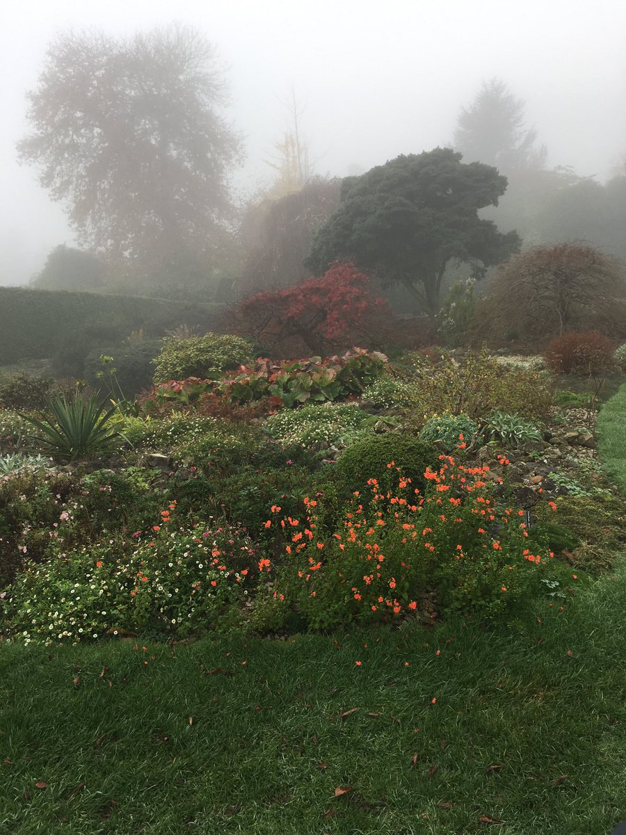 SelectivelyMine's tweet photo. ⁦@nationaltrust⁩ https://t.co/Gy59ue3LDO