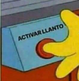 Cotelo! tweet media