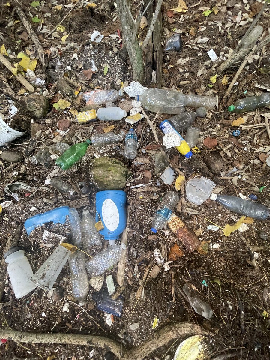 MPDMarinePatrol's tweet photo. Over 1000lbs of garbage was picked up today @CityofMiami #MiamiMarineStadium special thanks to @MiamiDadeEM &amp; @miamiparks for assisting @MPDMarinePatrol #BiscayneBay #KeepBiscayneBeautiful 🌊🐟🐠🦀🐬🚮🚯 https://t.co/CzeacD9VLf