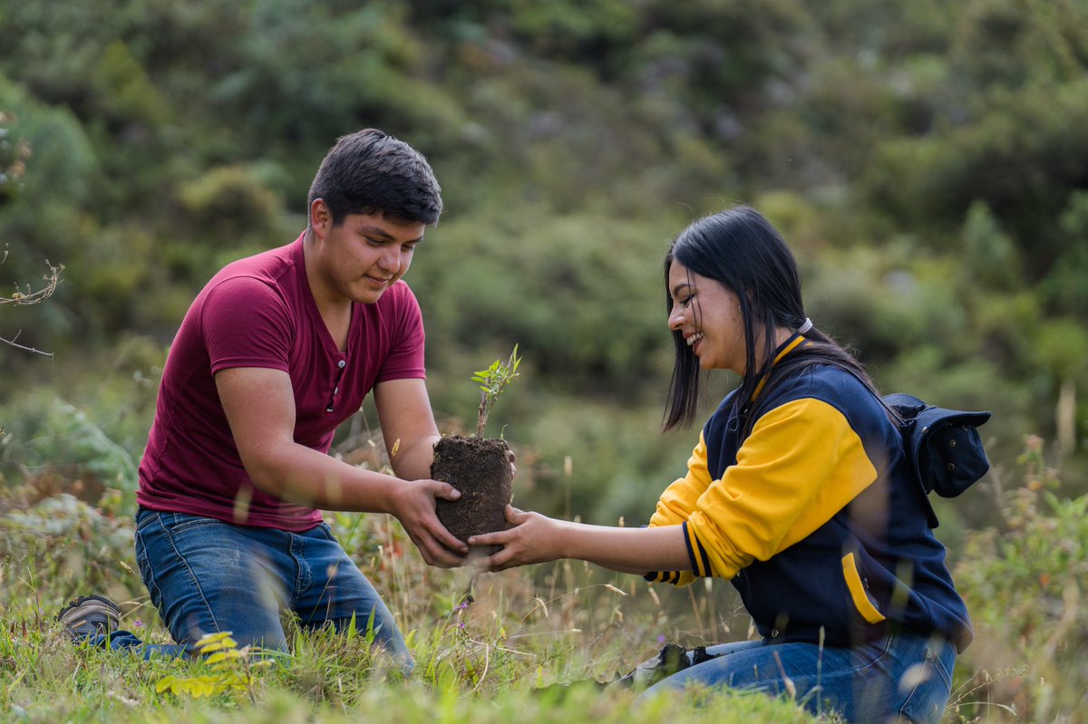 utplvinculacion's tweet photo. #VinculaciónUTPL comprometida con minimizar los efectos del cambio climático, a través de la reforestación. 🌱Gracias al apoyo de estudiantes de las carreras Agropecuaria y Ambiental sembramos 150 árboles en la #EstaciónAgropecuariaUTPL, que nos convierte en un #CampusSostenible https://t.co/6fSsJslnk3