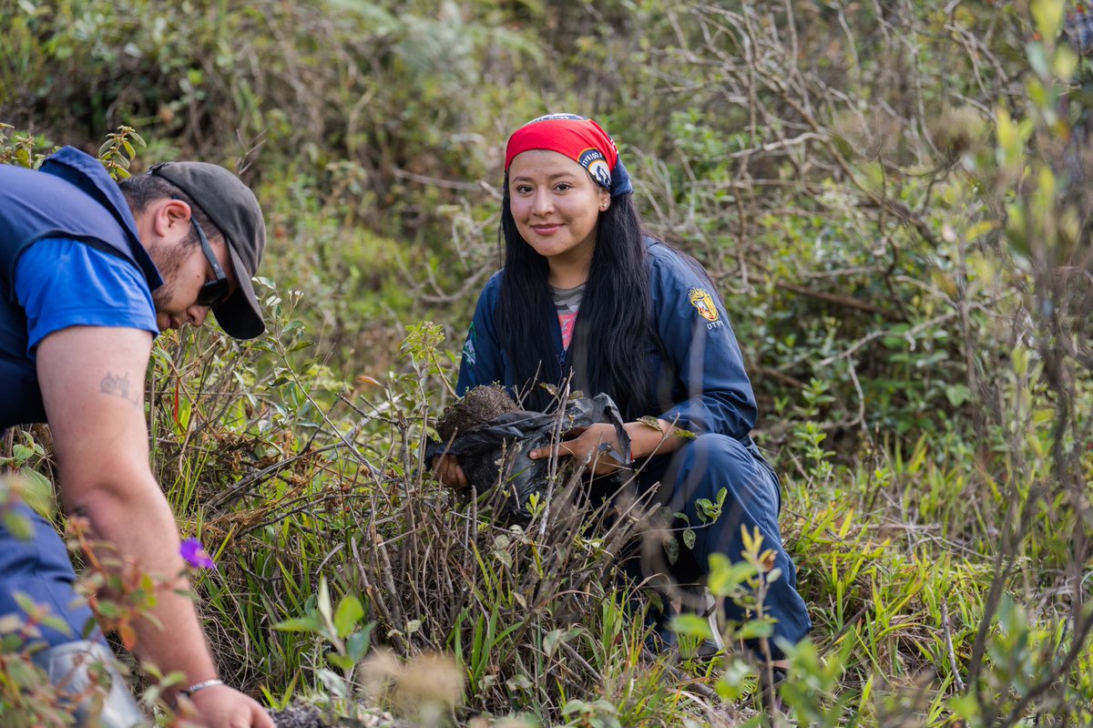 utplvinculacion's tweet photo. #VinculaciónUTPL comprometida con minimizar los efectos del cambio climático, a través de la reforestación. 🌱Gracias al apoyo de estudiantes de las carreras Agropecuaria y Ambiental sembramos 150 árboles en la #EstaciónAgropecuariaUTPL, que nos convierte en un #CampusSostenible https://t.co/6fSsJslnk3