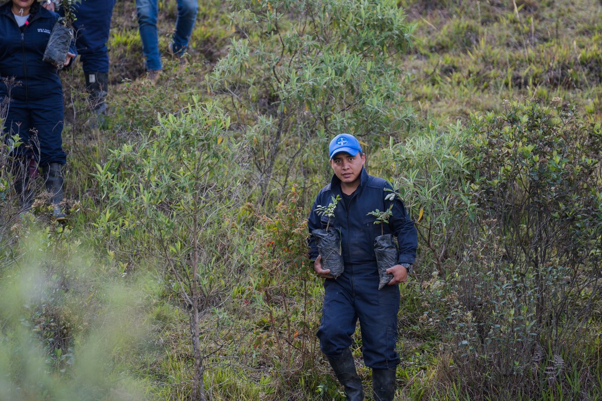 utplvinculacion's tweet photo. #VinculaciónUTPL comprometida con minimizar los efectos del cambio climático, a través de la reforestación. 🌱Gracias al apoyo de estudiantes de las carreras Agropecuaria y Ambiental sembramos 150 árboles en la #EstaciónAgropecuariaUTPL, que nos convierte en un #CampusSostenible https://t.co/6fSsJslnk3