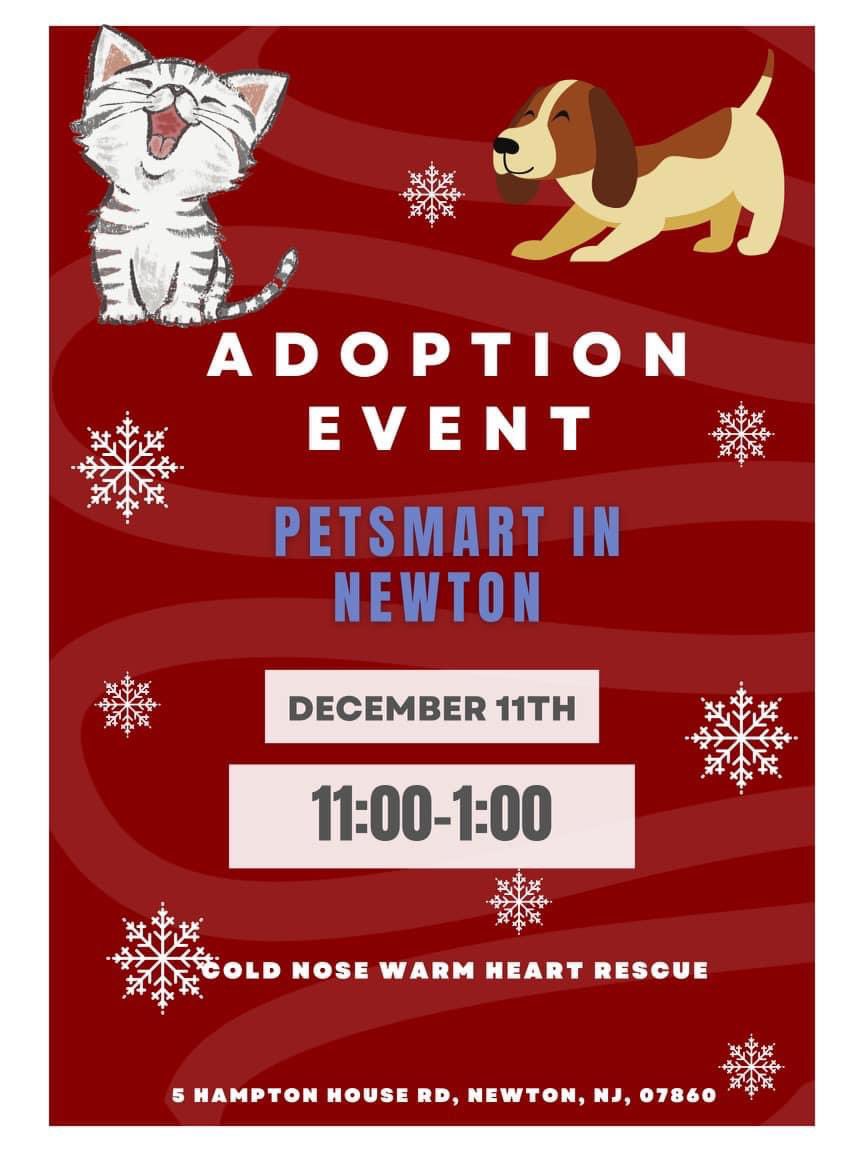 cnwhnj's tweet photo. Upcoming events!
#adoptionevent #AdoptDontShop #availabledogs #puppies #dogadoption #njdogs #njpetadoptionevent https://t.co/QLwv2gNoFx