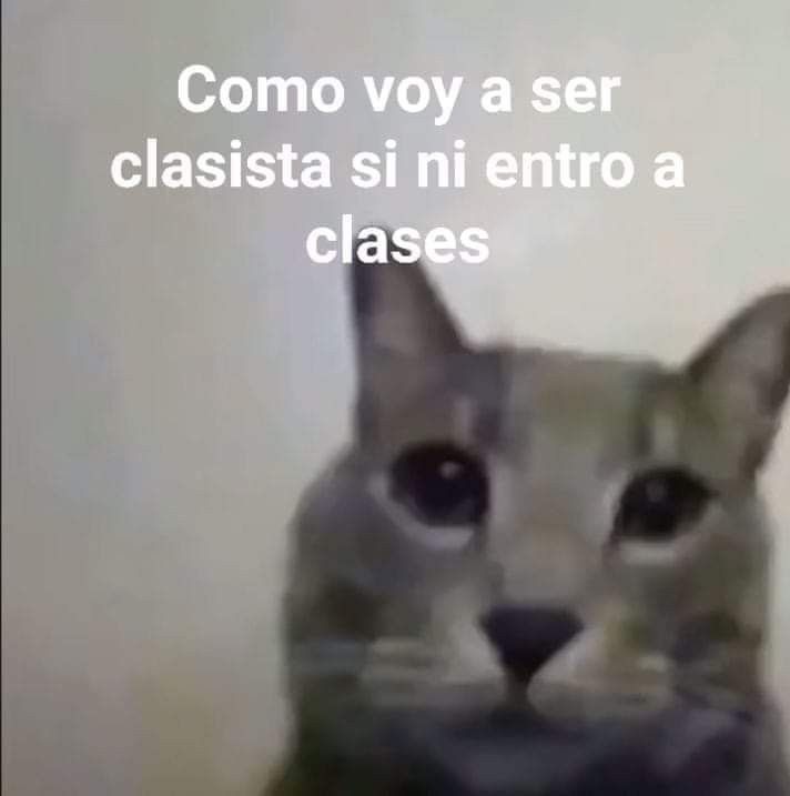 InkCristal_'s tweet photo. Seres guapos del mundo... ¿Hay algún juego que se les antoje ver?
#streaming #Streamer https://t.co/4E0xHLsWjK