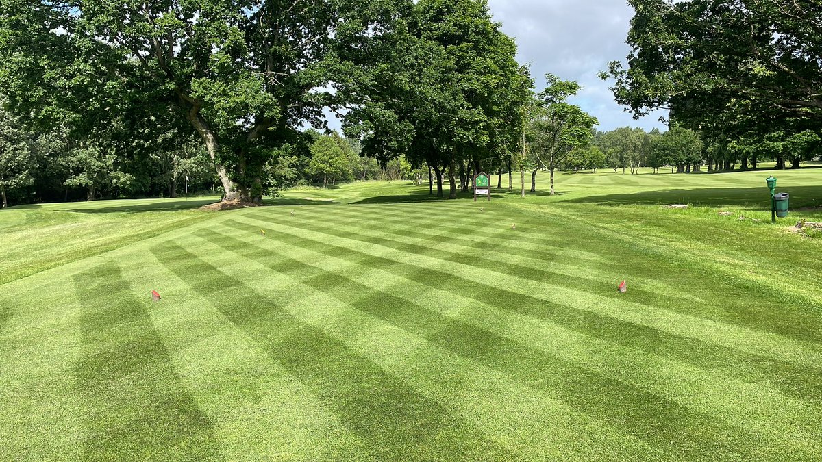 Chris Low tweet media