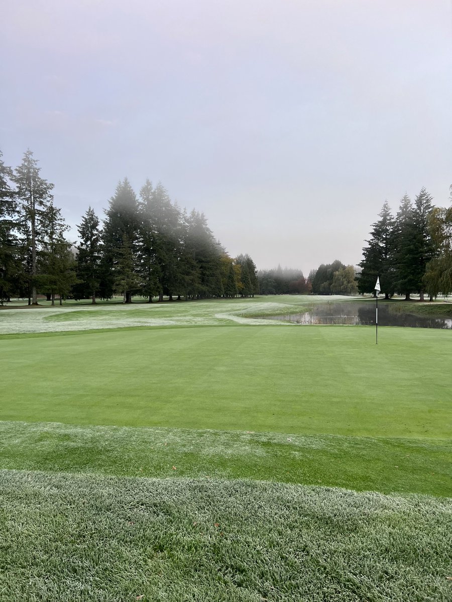 PittMeadowsGolf's tweet photo. A serene shot of #4 📸 
The temperatures are dropping... but who is bold enough to get out there and swing those clubs?

#pittmeadowsgolfclub #novembergolf #nodaysoff #yearround #membership #golfmembership #pinplacement https://t.co/hHgsbdvWNZ