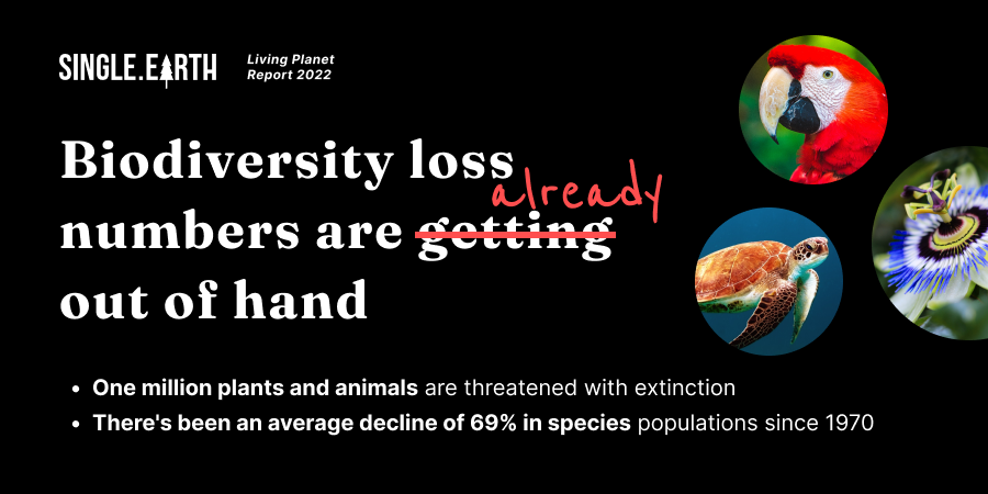 SingleEarth1's tweet photo. The numbers say it all. Share to raise awareness! 

⚠️ 1 million plants and animals are threatened with extinction.

⚠️ There's been an average decline of 69% in species populations since 1970.

#ClimateActionNow #biodiversity https://t.co/e6bvOaCwjH