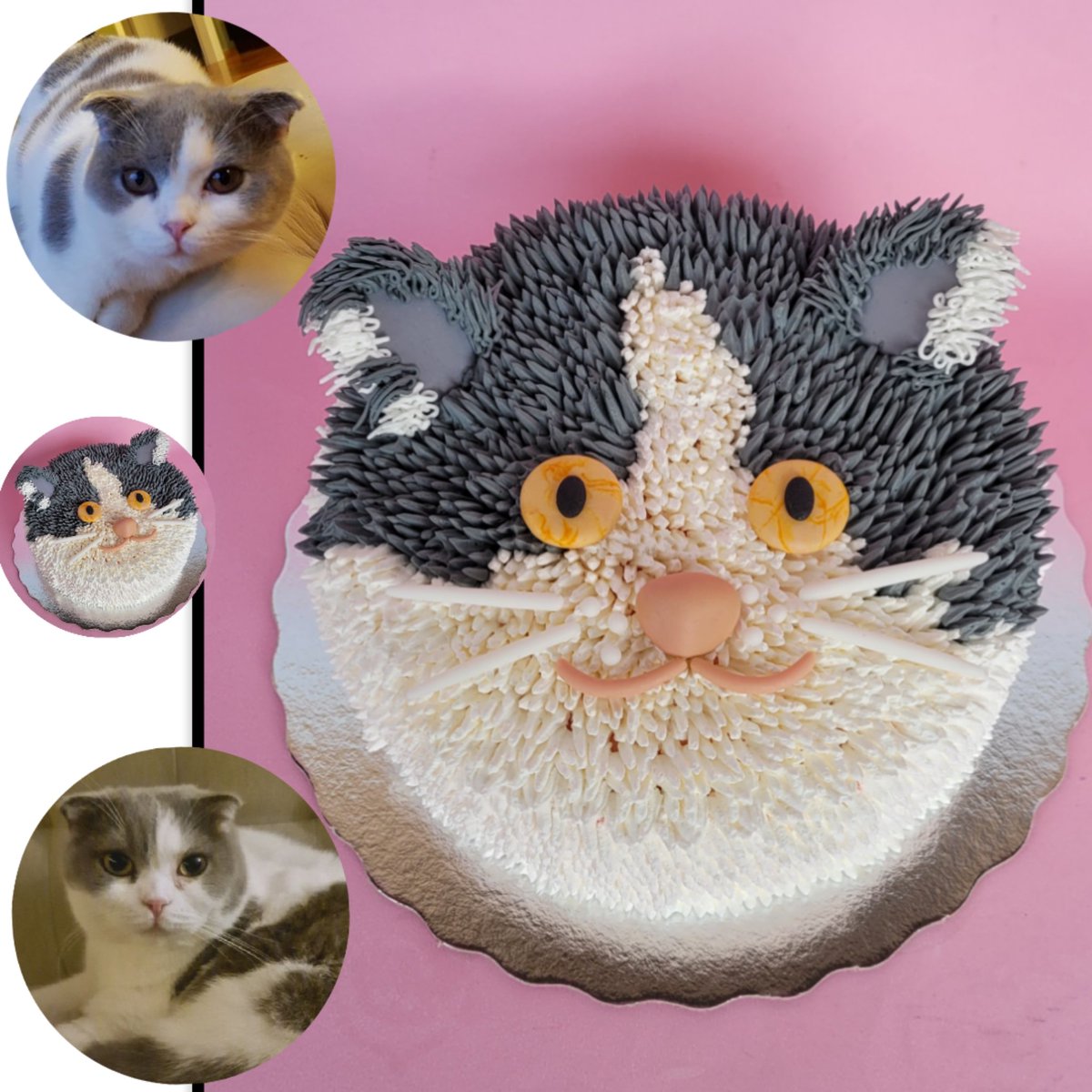 marikatdoces's tweet photo. Bolo personalizado da gatinha Frida 🫶🏻🐱
.
Sabor clássico do red velvet recheado com creme de queijo ❤️
.
Vem personalizar seu pet comigo! 🐾👩🏻‍🍳
.
Orçamentos via DM, Facebook ou whatsapp (11) 997774041
.
#bolodecorado 
#bolopet #bolodegato
#gatinho #artesanal #marikatdoces https://t.co/m9QsocRJBD