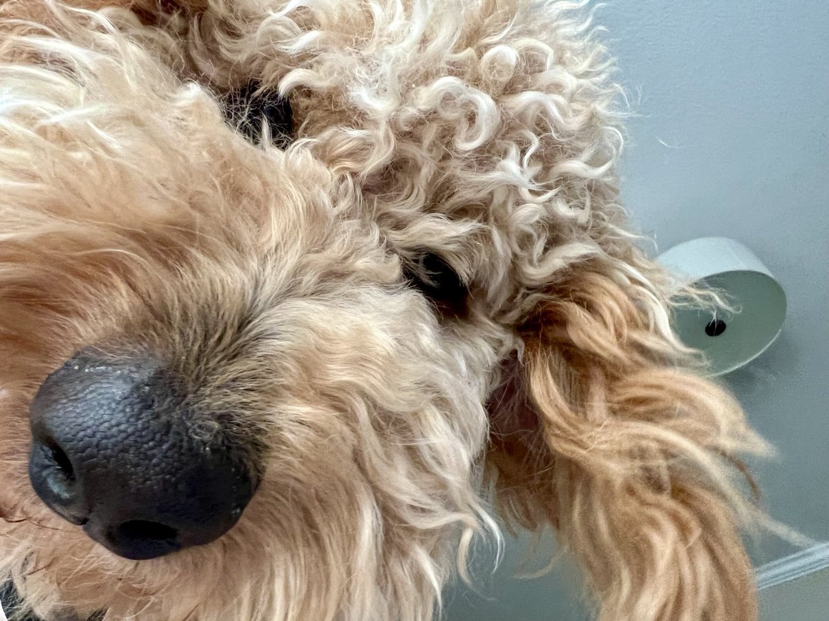 Christopher tweet media