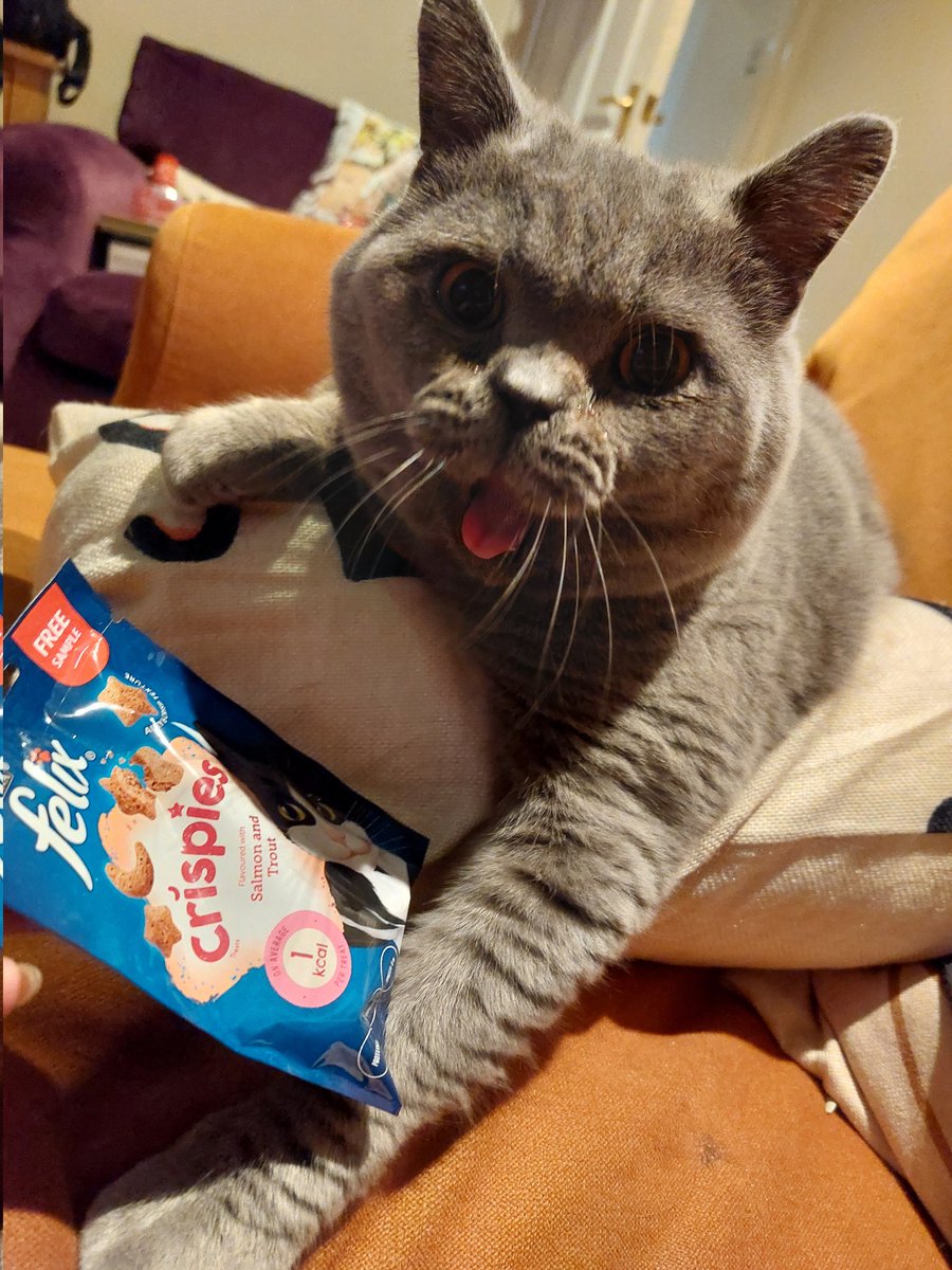 Natalie Smith tweet media