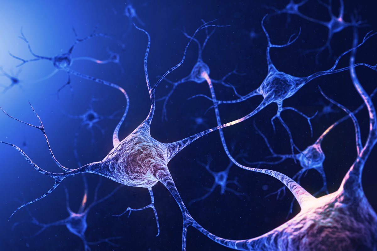 10x Genomics tweet media