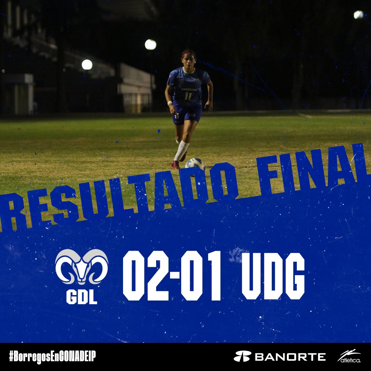 Borregos GDL tweet media