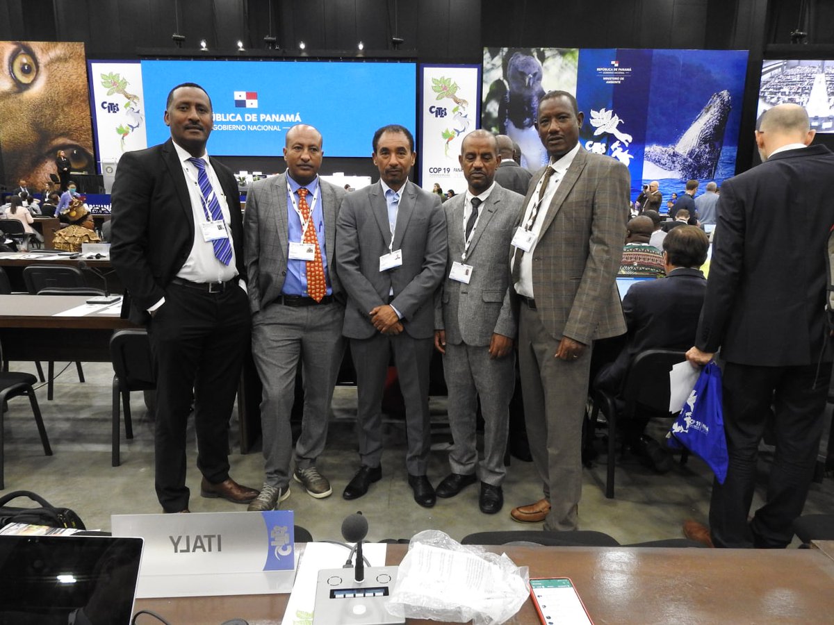 Ethiopian Wildlife Conservation Authority tweet media