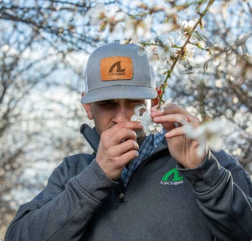 LiquidAgro's tweet photo. By the time visible signs of nutrient deficiencies appear, they have often already affected tree production.
How can producers get the right timing and nutrition mix to help improve #treenut quality and quantity?
Read our #AgroLiquid study!
https://t.co/XN0alndQTb https://t.co/vJdtJhtyZE