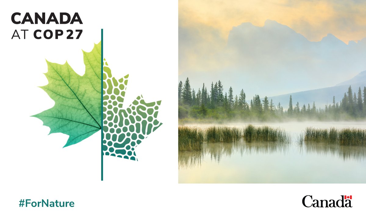 In less than a month, Canada will welcome the world to Montreal for the <a href="/UNBiodiversity/">UN Biodiversity</a> Conference. 🌎 #COP15 will drive progress on protecting #nature and halting #biodiversity loss around the world.

Learn more: ow.ly/n5Zk50LFUSr
