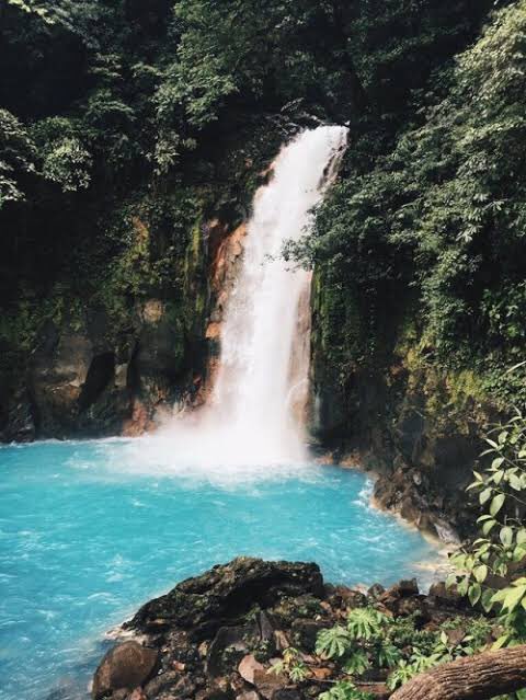 breno_luizz's tweet photo. Procuro meninas que gostam da natureza, de acampar, fazer trilha e curtir uma cachoeira. Seria pedir muito ? Kkkk https://t.co/gWkdeooUtR