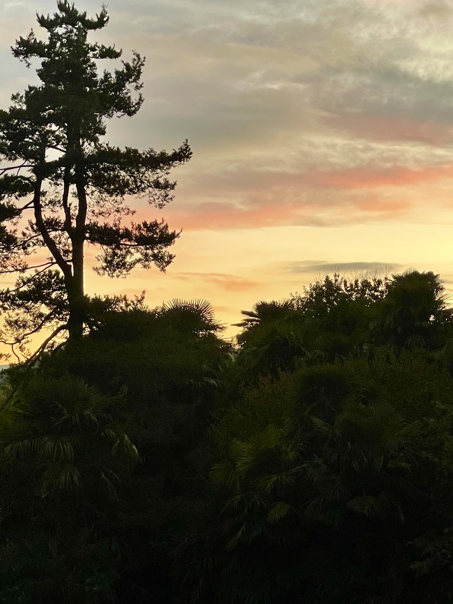 berger_bb's tweet photo. About this evening. 🌼🧡 #november https://t.co/FkJOGFkuzA