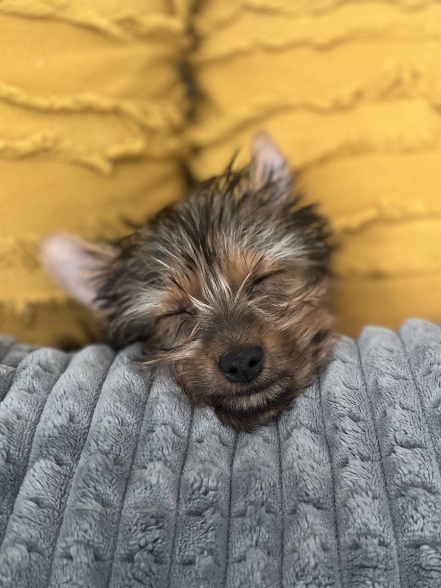 Life update: Living it 🤠