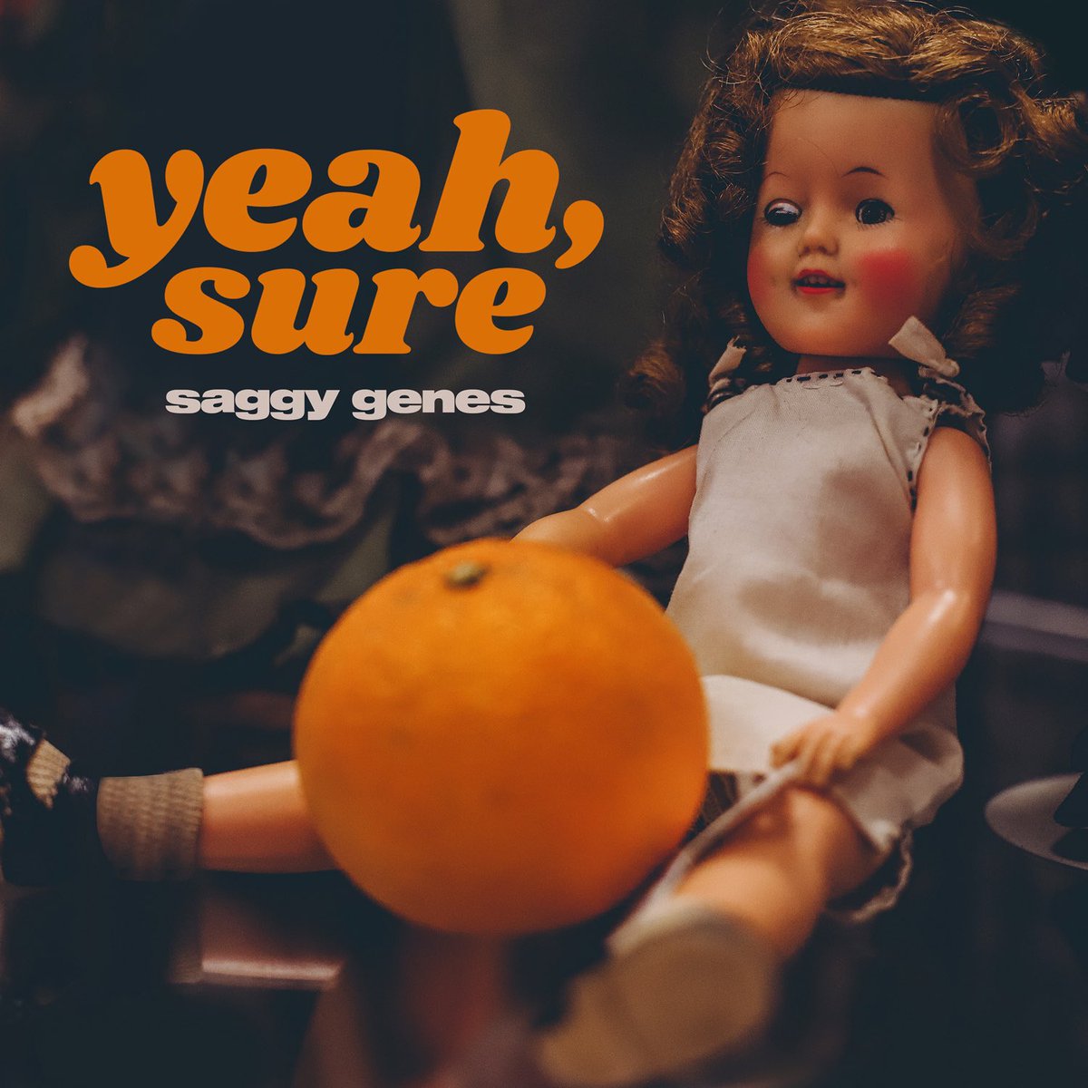 yeahsureband's tweet photo. this is your daily reminder to presave our new single 🍊 https://t.co/dqIlU0WwUi https://t.co/MkmZU0fEHM
