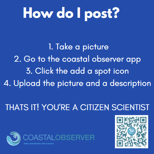 Coastal Observer (@ObserverCoastal) / Posts / X