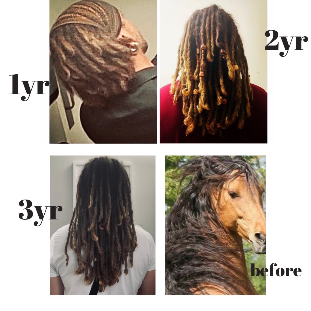 FCensored's tweet image. Me going on four years! #LocLife #dreadlock #dailyjokes #meme #comedians #locjourney