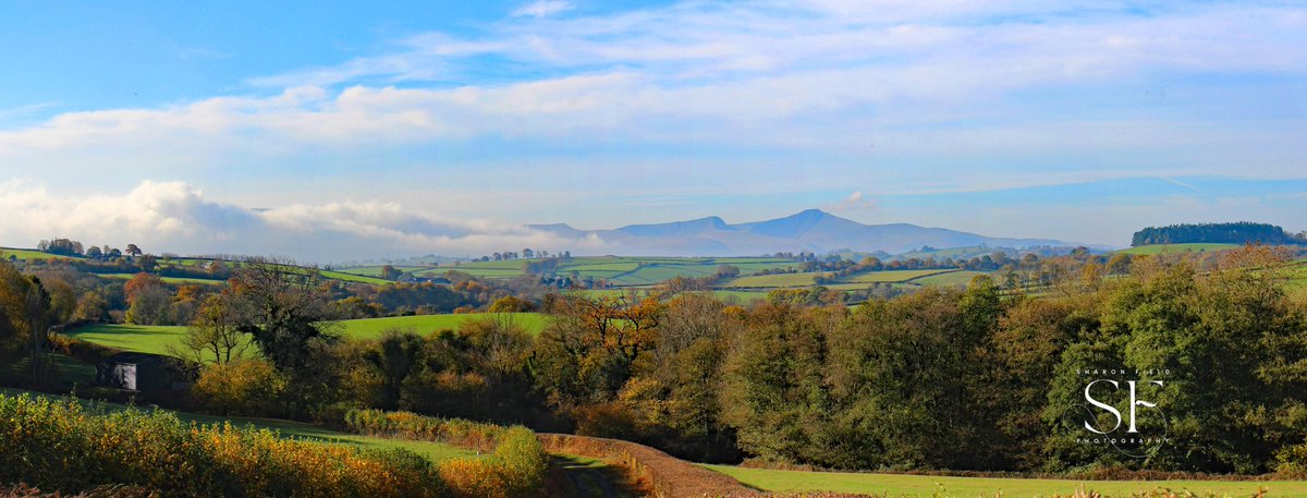 SharonFieldPho1's tweet photo. The stunning Brecon Beacons in the autumn sunshine ☺️🍁🍂
Image available now as a panoramic canvas in a selection of sizes to suit your space.
#breconbeacons #brecon
#landscapephotography #autumncolours 
@visitwales @VisitBrecon https://t.co/JCprszHhTm