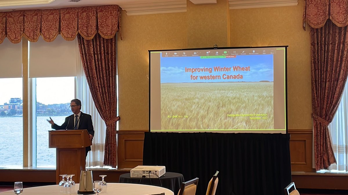 CWSS_SCM's tweet photo. The @AgronomyCanada distinguished agronomist for 2022 is Dr Rob Graf @grafwheat, recently retired from @AAFC_Canada! He’s currently presenting on his research career working to improve winter wheat for western Canada. Congrats Rob! #CWSSCSA2022 https://t.co/U5Cd1PMazL