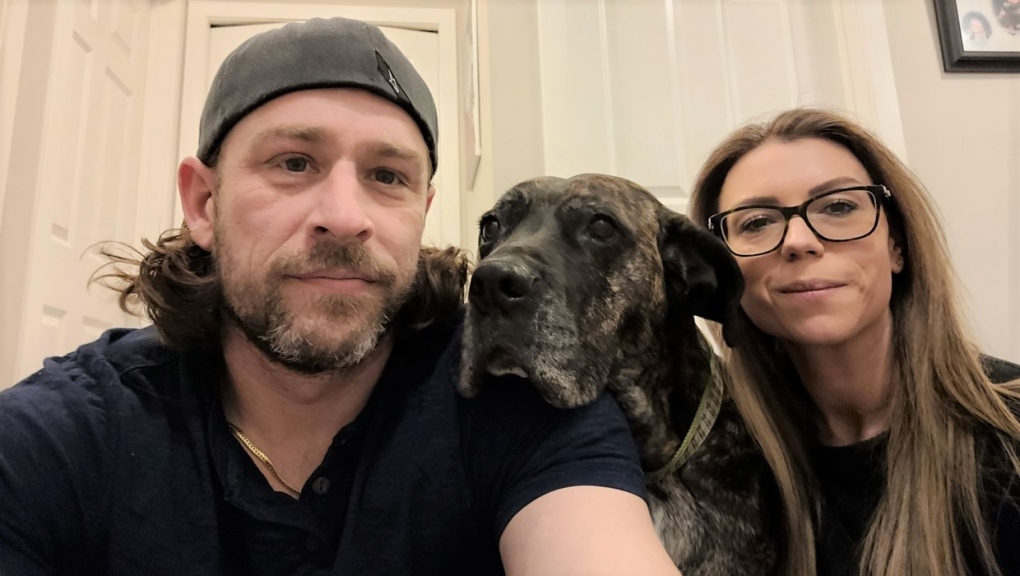 CalgaryHumane's tweet photo. The best news!!! Our sweet Aster has found her furever home after 476 days here in the shelter 😍🐶 Let's show her and her new family some love today! https://t.co/EusHu2Bvc2