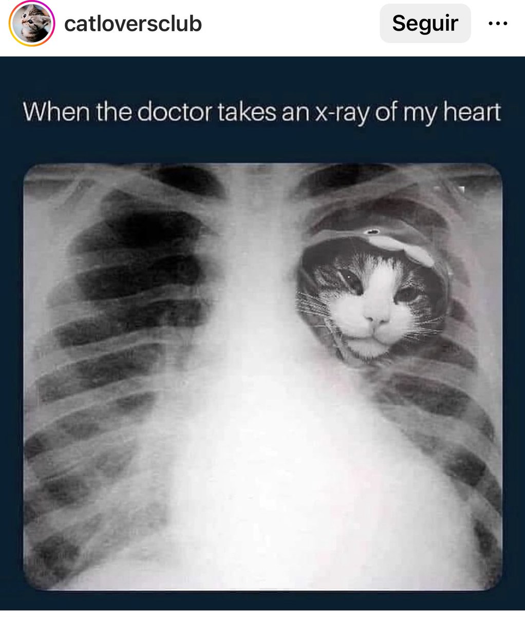 HistGatunas's tweet photo. Cuando el doctor toma una radiografía de mi corazón 🤗💕 https://t.co/zj0Fwr0nfO