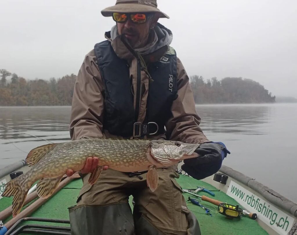 RDBFishing's tweet photo. Après une pause d'environ 10 ans, je m'y remets. C'est l'occasion de faire découvrir cette pêche à @mitchfish2007 ... Le brochet à la mouche c'est très passionnant et addictif ! 

#pikeflyfishing #jmcflyfishing #rdbflyfishing https://t.co/lVs7TSYVlR https://t.co/9w0n3A1mFJ