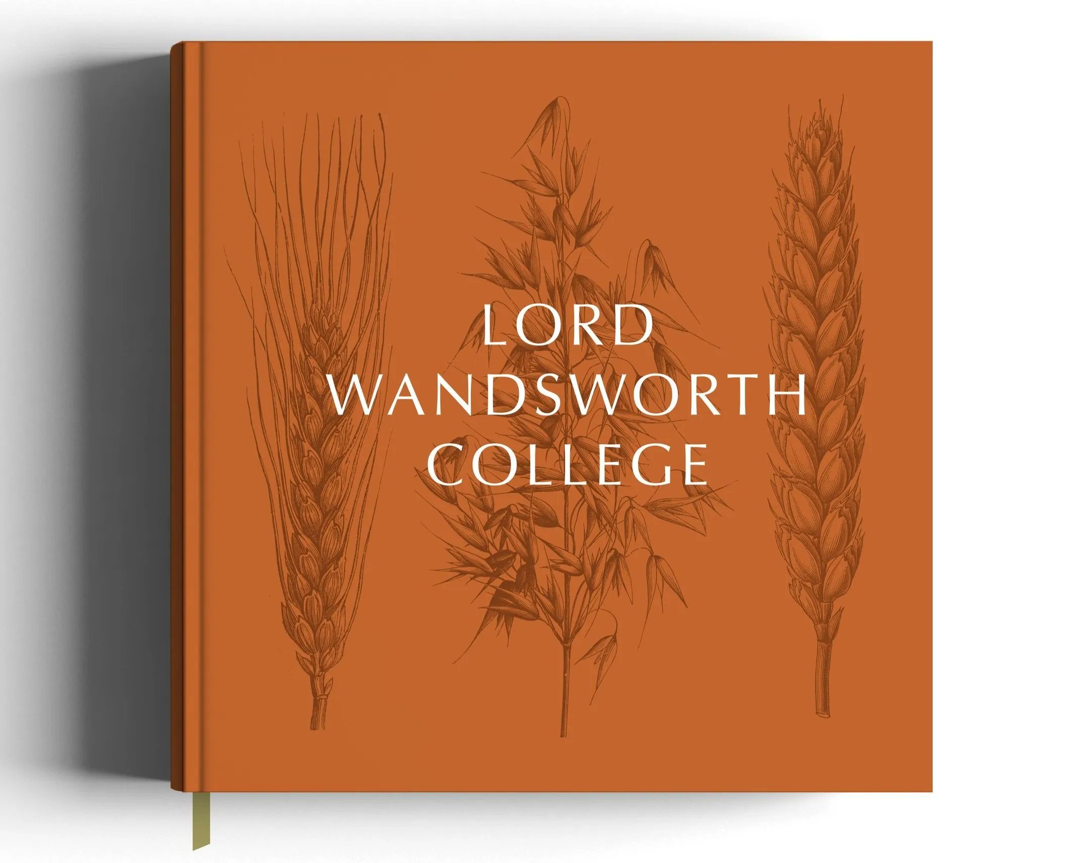 wandsworth-planning-portal-view-planning-applications-seekersnewsgh