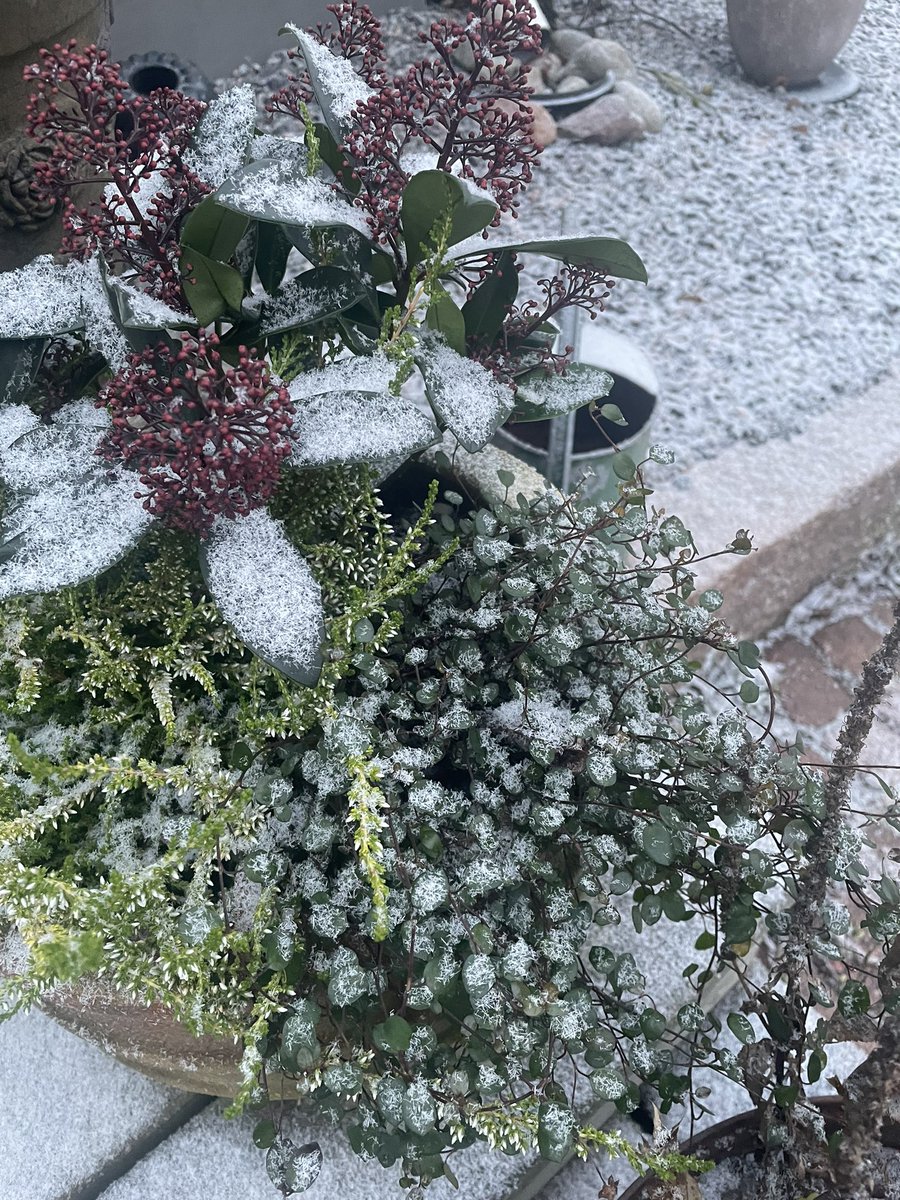 Hippunen lunta Lahdessa aamulla.