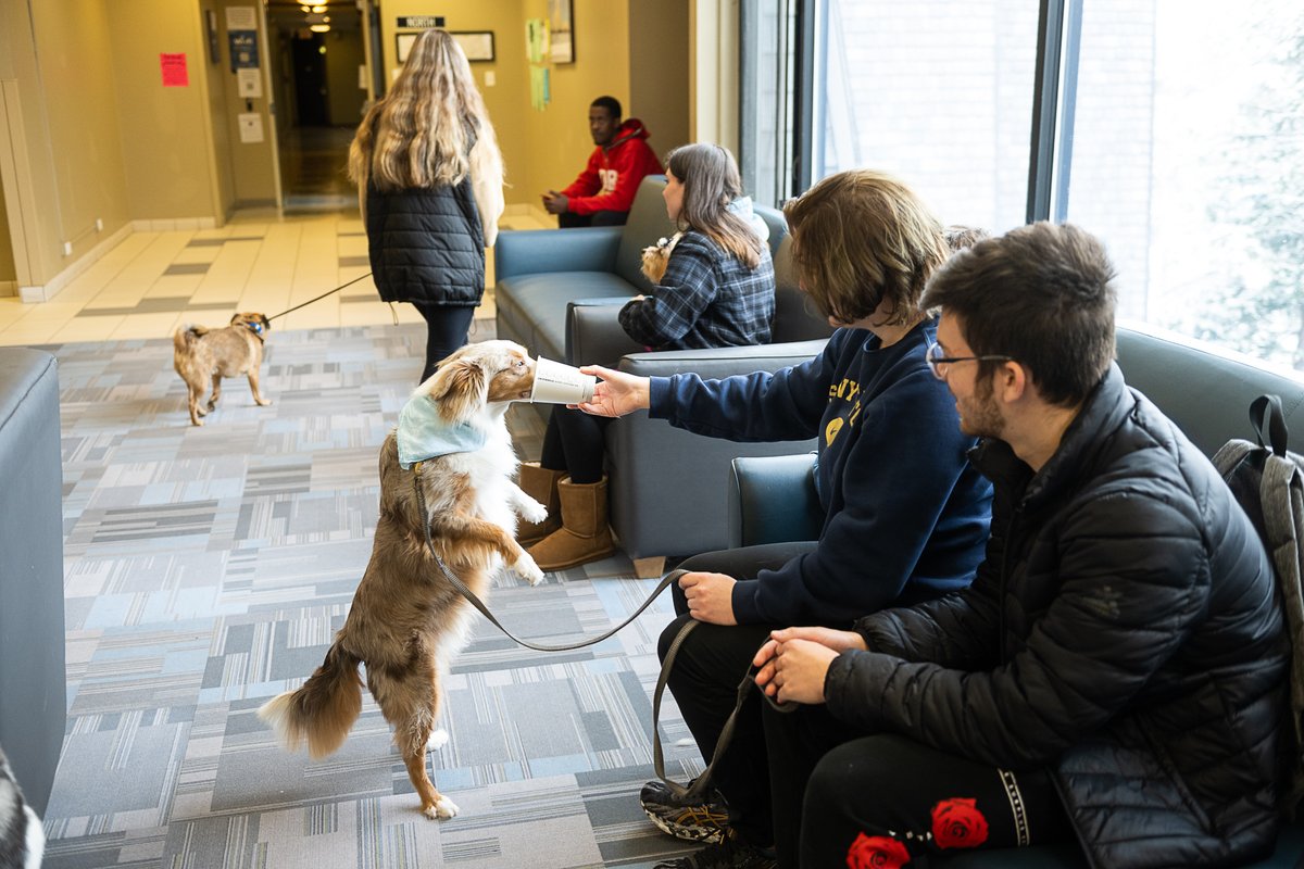 SUNYCantonNews's tweet photo. Tonight's guest author @robkugler made a stop in our Dog Floor to meet with some lucky students who live with their besties on campus. Rob will speak at 6:30 p.m. in the Kingston theater. Free, open to the public, and recommended to anyone who ♥️s dogs! https://t.co/yYbII8loOa
