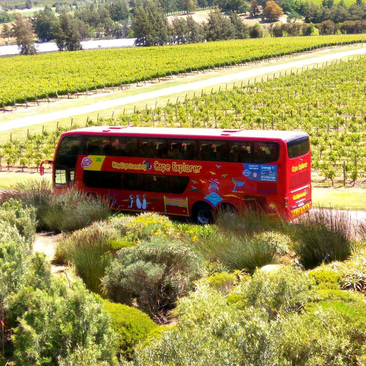 citypass_SA's tweet photo. When you purchase your City Pass, you get 25% OFF on this wine-country excursion: https://t.co/WHuAKVruDD 

#CityPass #CapeTown #LoveCapeTown #RedBusSA #Wine [2/2] https://t.co/Hlkh0a8LX8