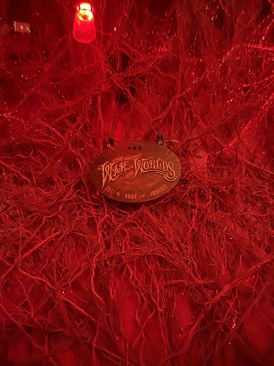 Not much opportunity to take pics but the War of the Worlds immersive experience was breathtaking. The balloon trip to Mars was a particular surprise!