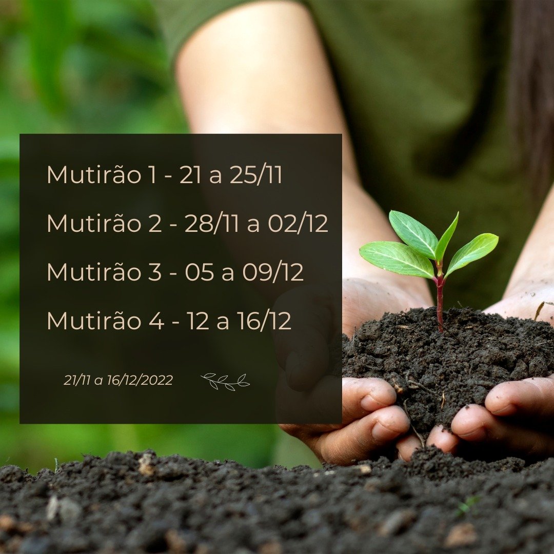 MST_Oficial's tweet photo. 🌱✊🏾🚩 Venha participar dos mutirões de plantio do Projeto Dandara: transição agroecológica em territórios de Reforma Agrária em SP!

Vamos plantar 14 hectares de Sistemas Agroflorestais de 21/11 a 16/12, junto com 22 famílias do Assentamento Dandara, em Promissão (SP). (...)+ https://t.co/1p2niTqRIV