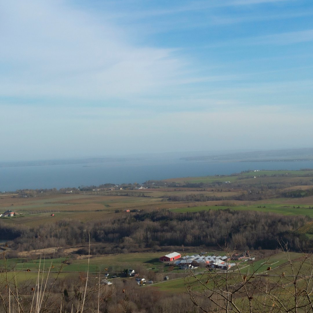 haveitallAV's tweet photo. Even with all the colours of the leaves gone, you just can't beat this view! #thelookoff #canning https://t.co/GATRGUQIkA