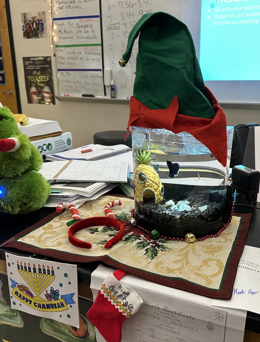 NHSCO26's tweet photo. Getting in the holiday spirit! #NHS #BIOLOGY #NPS @Queen_Nerdling @CentralMATweets https://t.co/pX6gWShriK