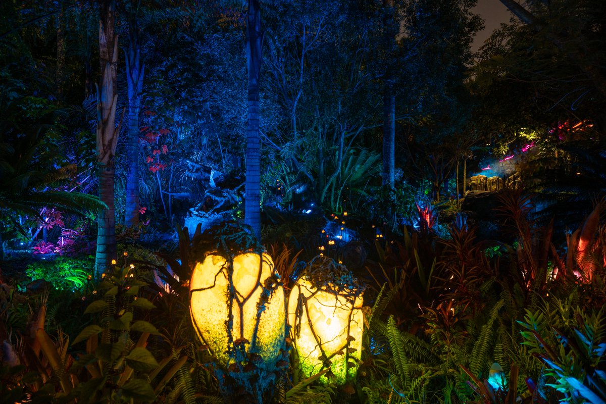 Evan Patel tweet media