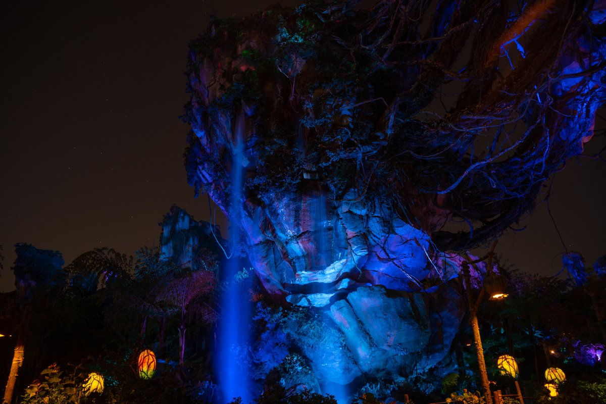 Evan Patel tweet media