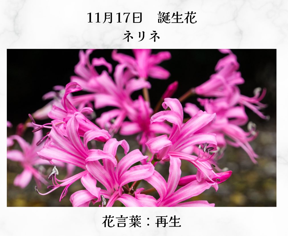 Soeru Twitter Search Twitter