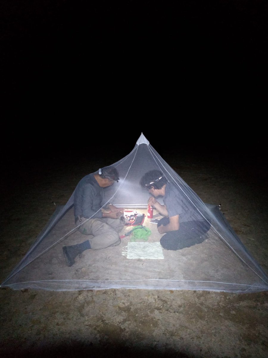 <a href="/HORUS_EBD/">Proyecto HORUS</a> <a href="/ebdonana/">Estación Biológica de Doñana - CSIC</a> <a href="/SUMHAL_CSIC/">Proyecto LifeWatch ERIC - Sumhal</a> <a href="/miche_morganti/">Michelangelo Morganti</a> Here as it works by night