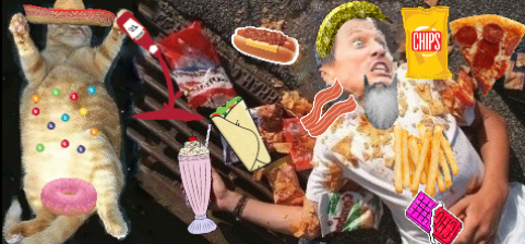Happy #NationalFastFoodDay from #Catso ! Don´t worry, #Catso is fine, no idea if silly @imcorinnemec is still breathing... #miau