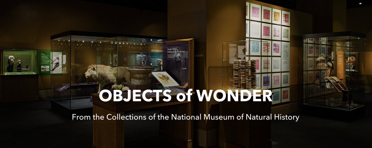 NMNH's tweet image. Every object in our research collections records a specific time and place. On #GISDay, see where some of our #ObjectsOfWonder came from via our StoryMap.  storymaps.arcgis.com/stories/e06510…