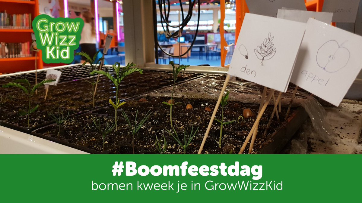 🌳🌱🍎 #boomfeestdag! #Buitenles zaden zoeken, opkweken in GrowWizzKid en uitplanten op je groene schoolplein. Zo werkt het met ons lesprogramma. We hebben toffe lessenreeksen #Herfst en #Seizoen
#natuuronderwijs #alliantieschooltuinen #milieuennatuur <a href="/GezondeSchoolNL/">Gezondeschool.nl</a> #duurzaam