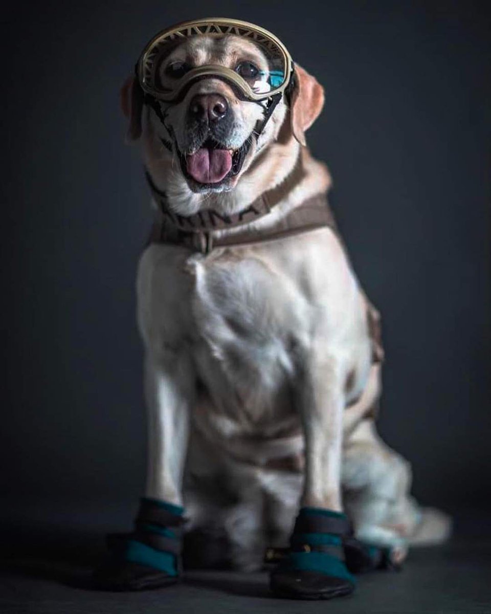 Frida