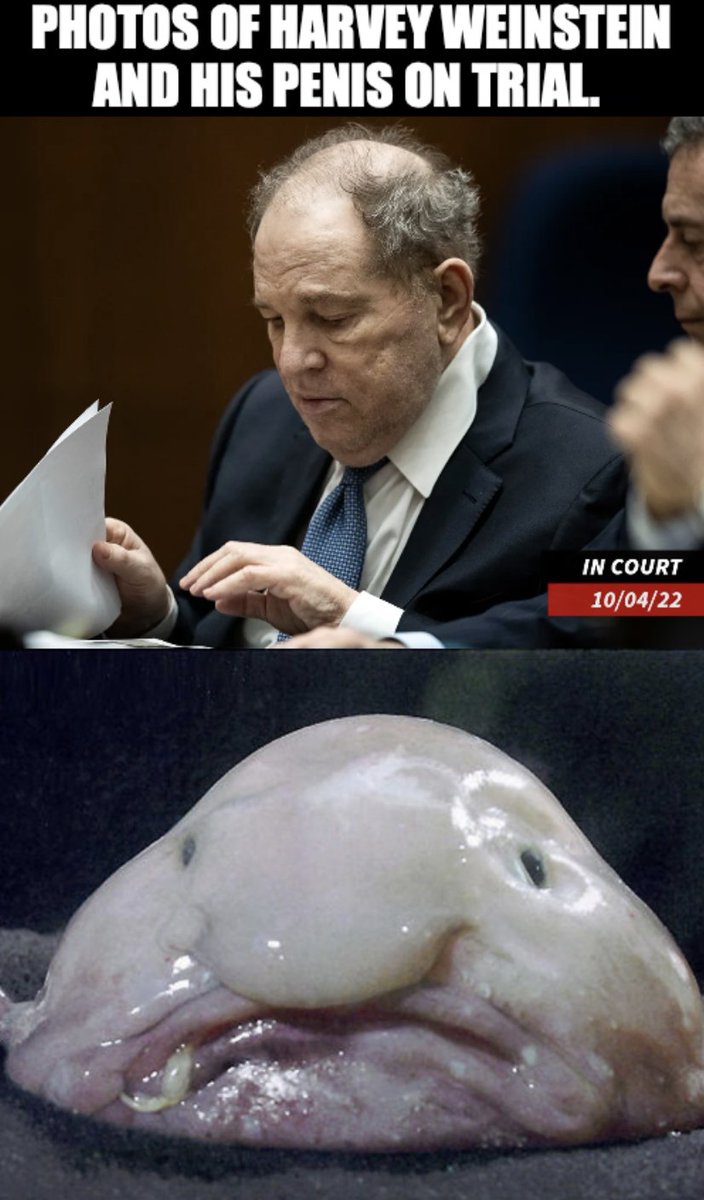 MemeCast3's tweet photo. Cannot believe Weinstein’s defense attorney asked victim to recreate how she faked an orgasm with him. Apparently, he has a deformed fish-like penis with lots of skin. 🤣
#tez #tezos #tezoscommunity #tezosnfts #tezoscollectors #xtz $xtz #NFTs #NFTCommunity #NFTs #crypto https://t.co/cDpusbGy1H